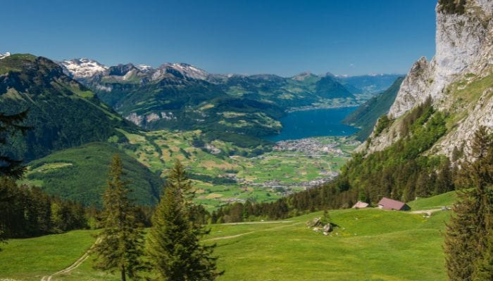 Adventurous moments at Brunni Adventure Park, Engelberg - a haven for outdoor enthusiasts seeking excitement and fun