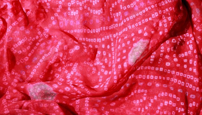Law Garden Treasures: Unraveling the beauty of exquisite Bandhej sarees