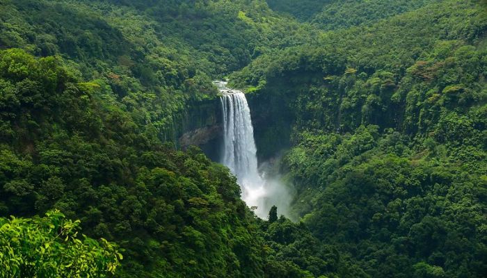 Surla Waterfalls in Goa: Lush greenery surrounding cascading water, perfect for nature trails and hiking