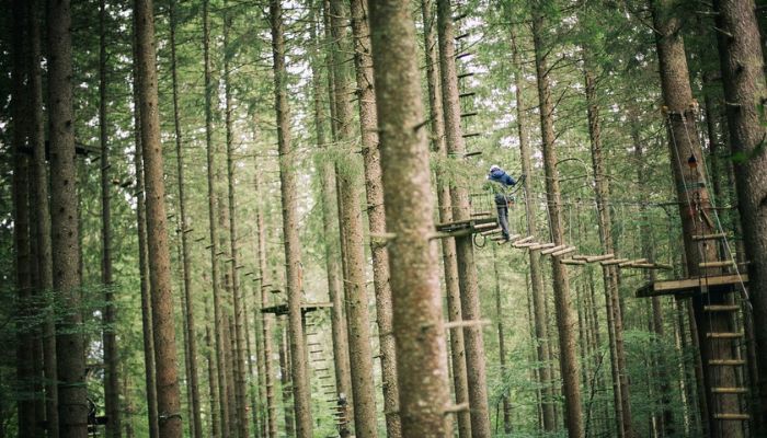 Exciting moments in the treetops: Rope Park adventure at Engelberg, Switzerland, a thrilling experience of aerial obstacles and ziplines