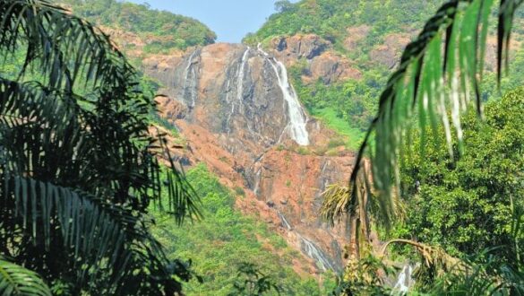 Surla Waterfalls Goa: Unveiling 7 Attractions for an Amazing Trip