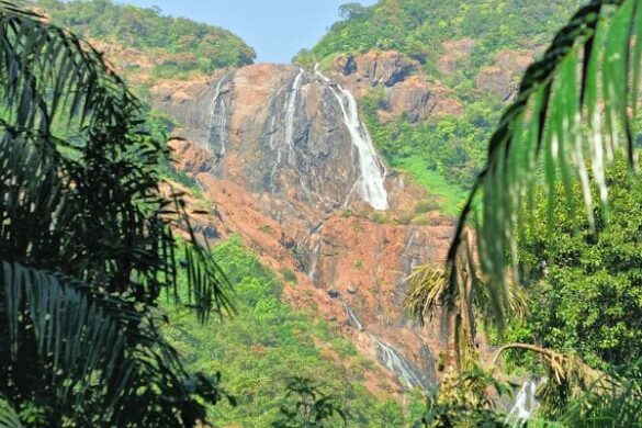 Surla Waterfalls Goa: Unveiling 7 Attractions for an Amazing Trip