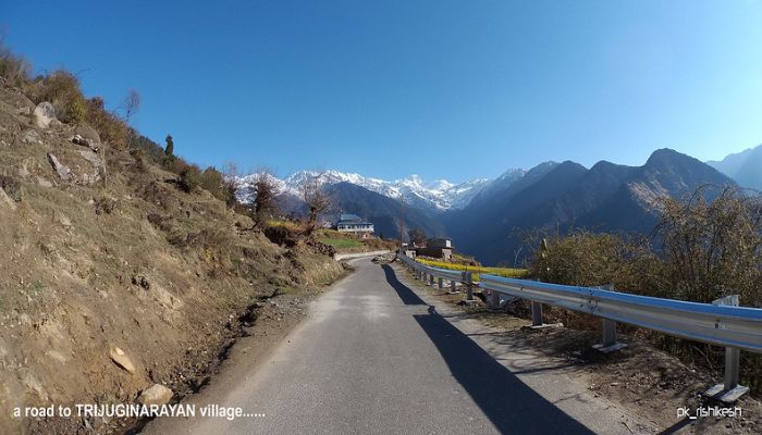 A scenic pathway leading to Trijuginarayan Village and the revered Triyuginarayan Temple, known as the mythical wedding site of Lord Shiva, or trekkers embarking on the adventurous Trijuginarayan Trek exploring ancient sites