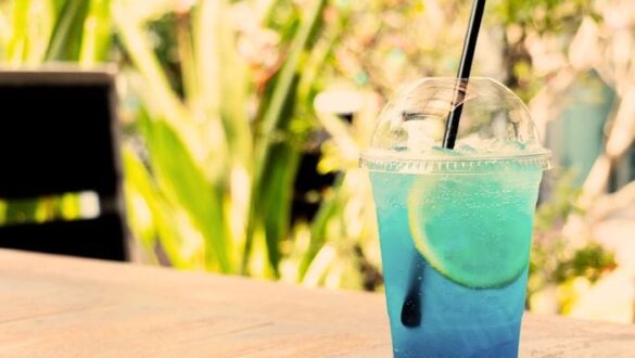 12 Best Restaurants in Vadodara: Exploring the Culinary Delights