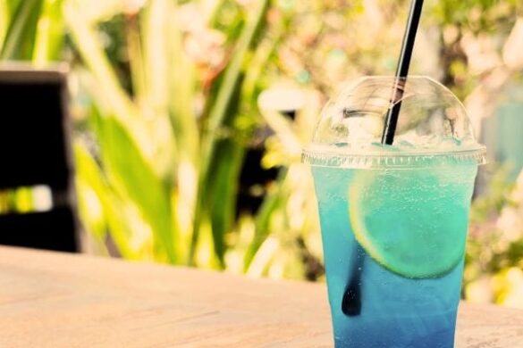 12 Best Restaurants in Vadodara: Exploring the Culinary Delights