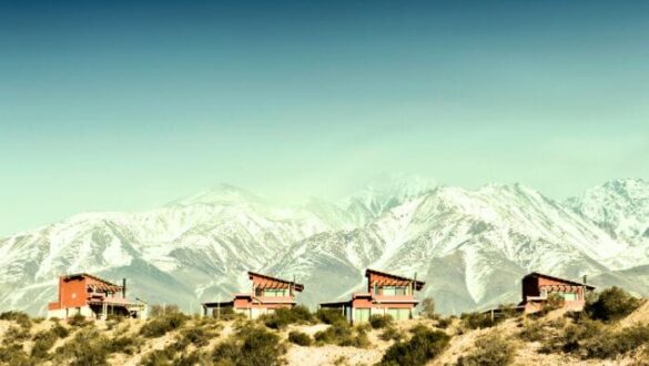 Essential Things to Do in Mendoza, Argentina: 20 Must-See Attractions