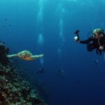 Scuba Diving in Mauritius: 5 Best Dive Sites