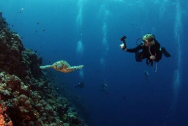 Scuba Diving in Mauritius: 5 Best Dive Sites