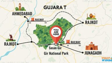 How to Reach Gir National Park Gujarat: 4 Best Ways Sasan Guide