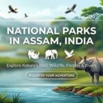 9 National Parks in Assam, India: Explore Nature's Best